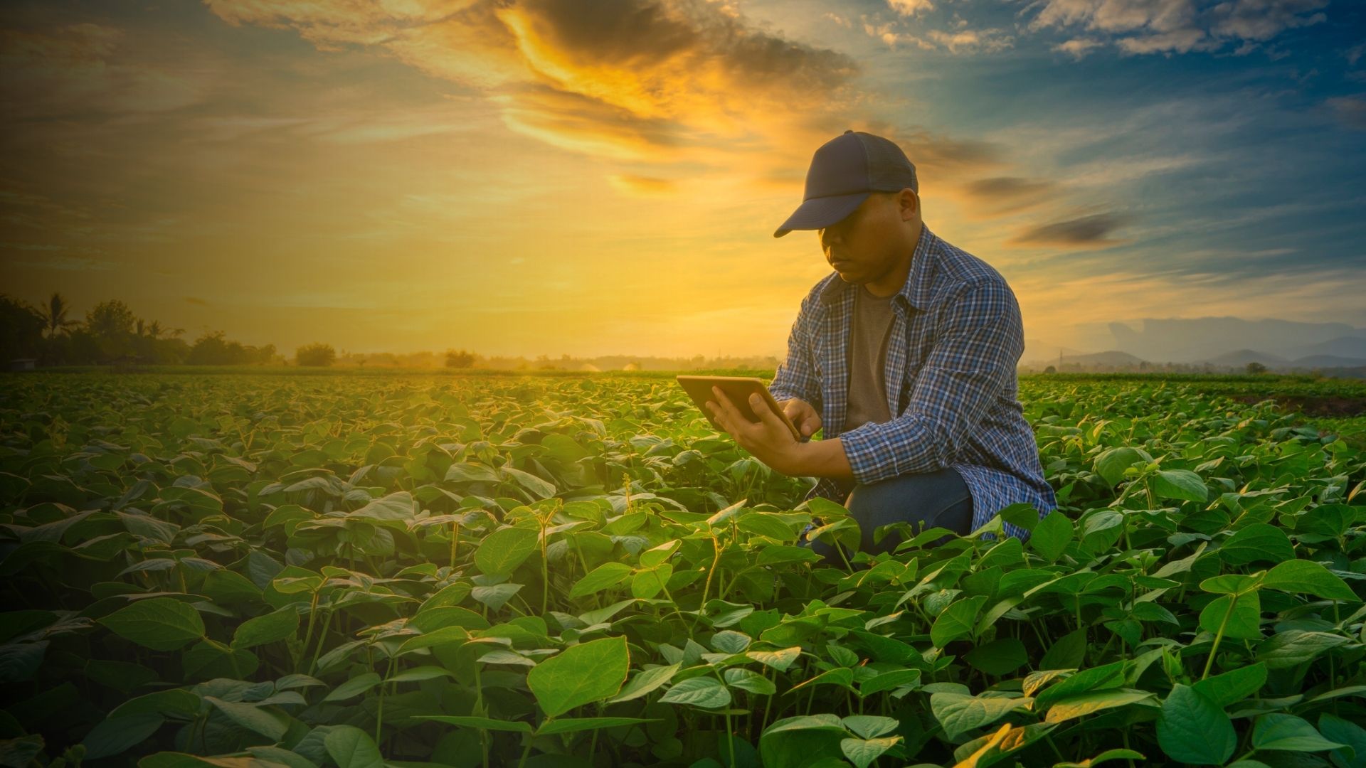Técnicos trabalhando com laptop